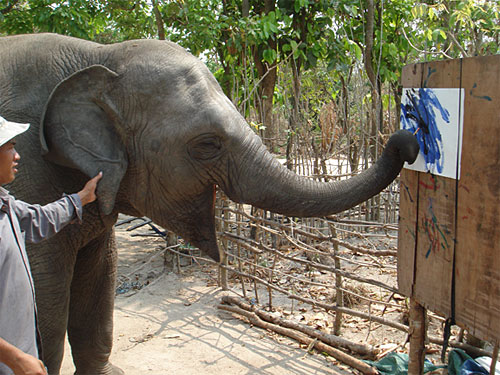 Phnom Tamao Wildlife Sanctuary